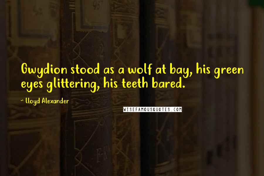 Lloyd Alexander Quotes: Gwydion stood as a wolf at bay, his green eyes glittering, his teeth bared.