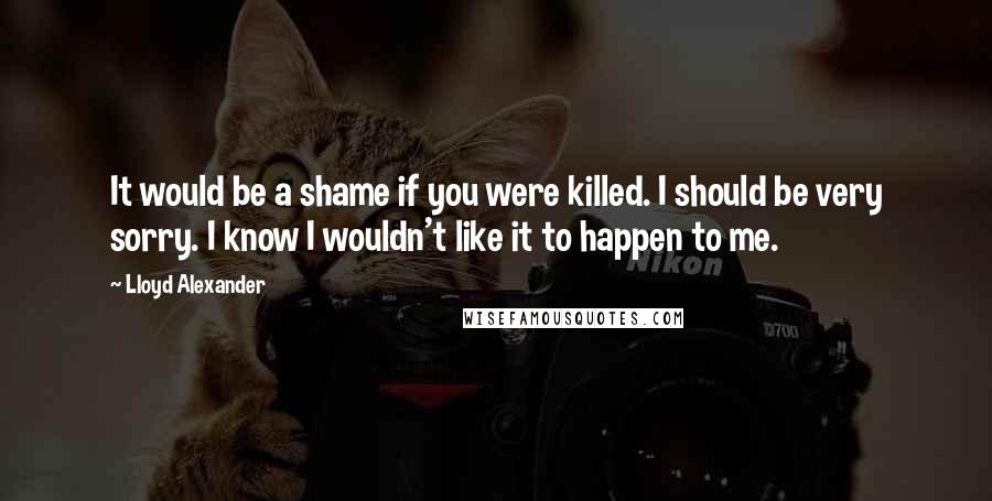 Lloyd Alexander Quotes: It would be a shame if you were killed. I should be very sorry. I know I wouldn't like it to happen to me.