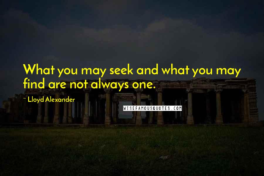 Lloyd Alexander Quotes: What you may seek and what you may find are not always one.