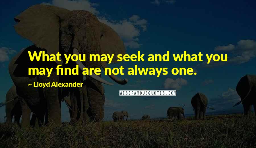 Lloyd Alexander Quotes: What you may seek and what you may find are not always one.