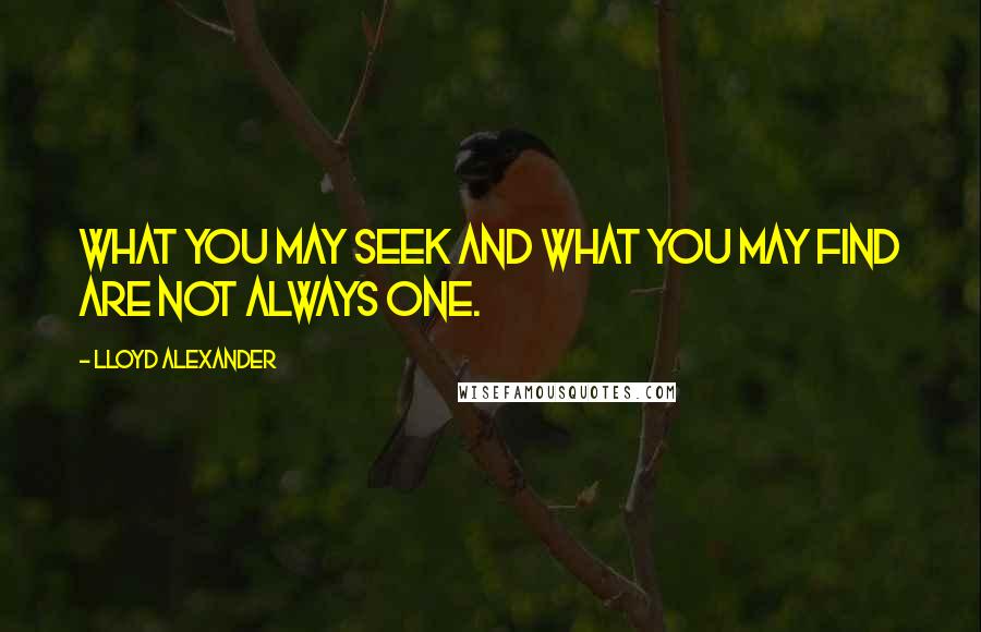 Lloyd Alexander Quotes: What you may seek and what you may find are not always one.