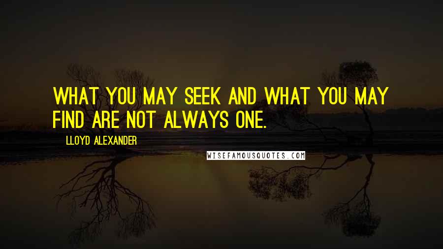 Lloyd Alexander Quotes: What you may seek and what you may find are not always one.
