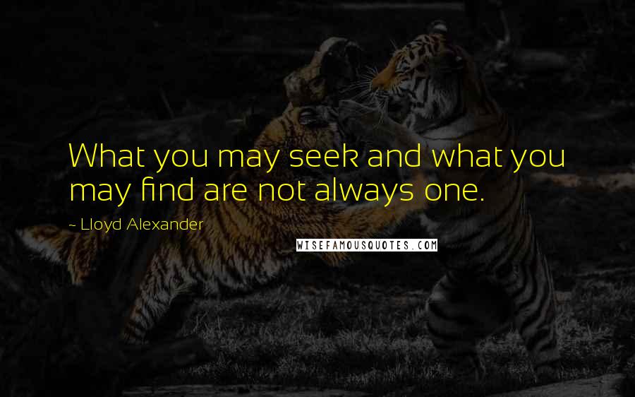 Lloyd Alexander Quotes: What you may seek and what you may find are not always one.