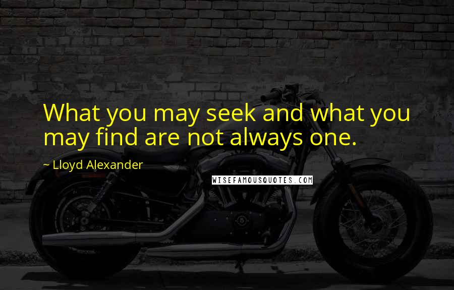 Lloyd Alexander Quotes: What you may seek and what you may find are not always one.