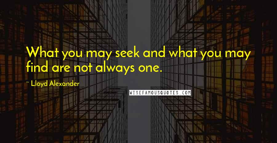 Lloyd Alexander Quotes: What you may seek and what you may find are not always one.