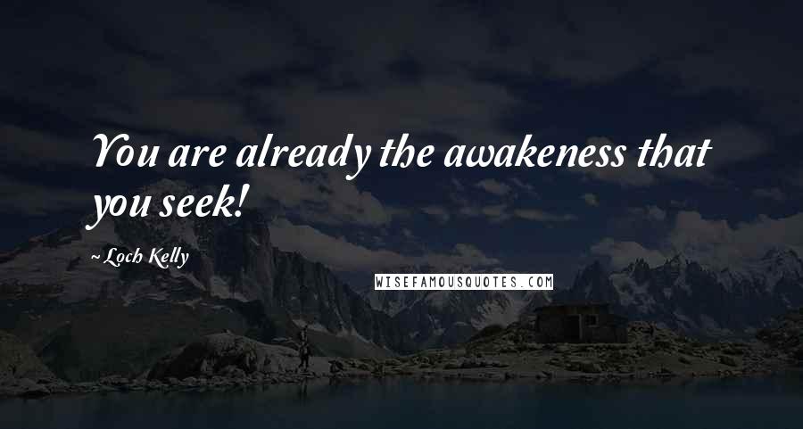 Loch Kelly Quotes: You are already the awakeness that you seek!