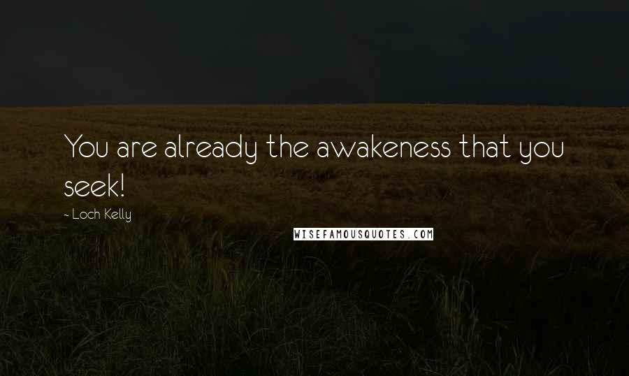 Loch Kelly Quotes: You are already the awakeness that you seek!