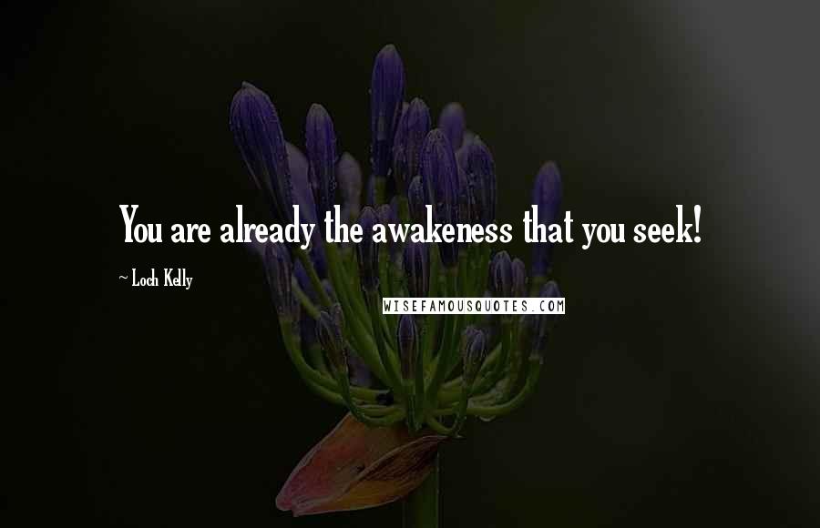 Loch Kelly Quotes: You are already the awakeness that you seek!