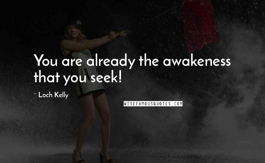 Loch Kelly Quotes: You are already the awakeness that you seek!