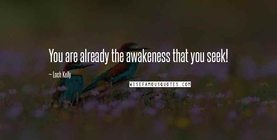 Loch Kelly Quotes: You are already the awakeness that you seek!