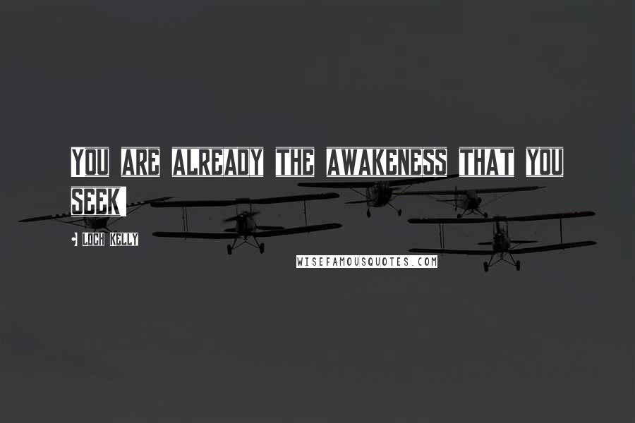 Loch Kelly Quotes: You are already the awakeness that you seek!