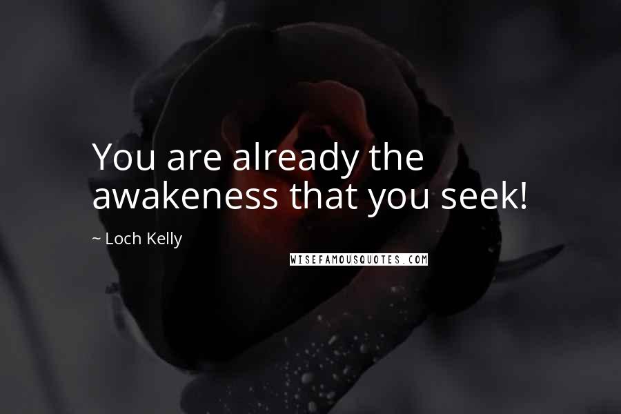 Loch Kelly Quotes: You are already the awakeness that you seek!