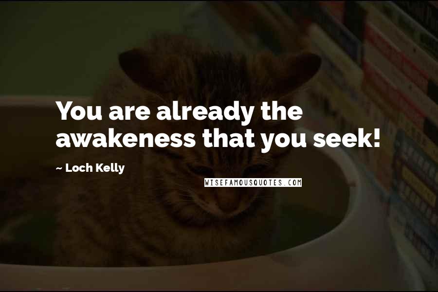 Loch Kelly Quotes: You are already the awakeness that you seek!