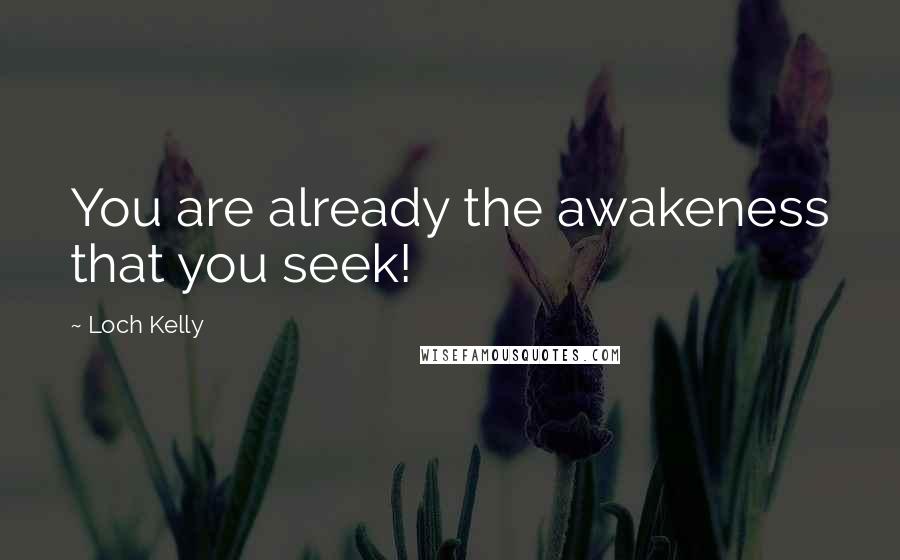 Loch Kelly Quotes: You are already the awakeness that you seek!