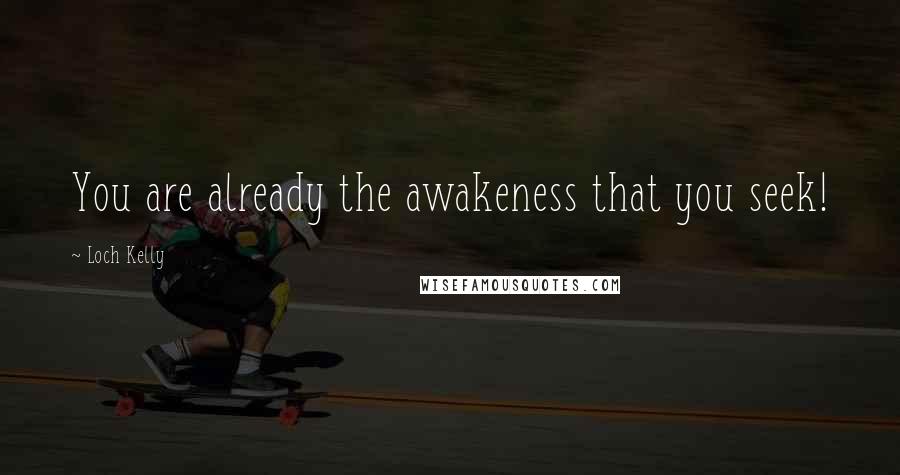 Loch Kelly Quotes: You are already the awakeness that you seek!