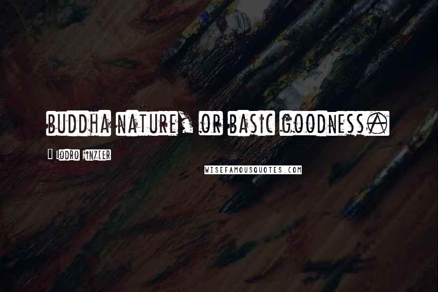 Lodro Rinzler Quotes: buddha nature, or basic goodness.