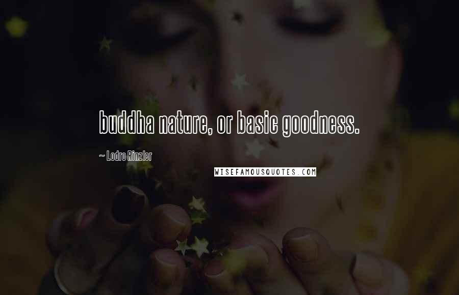 Lodro Rinzler Quotes: buddha nature, or basic goodness.