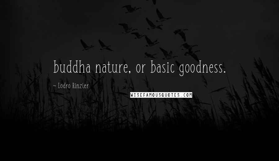 Lodro Rinzler Quotes: buddha nature, or basic goodness.