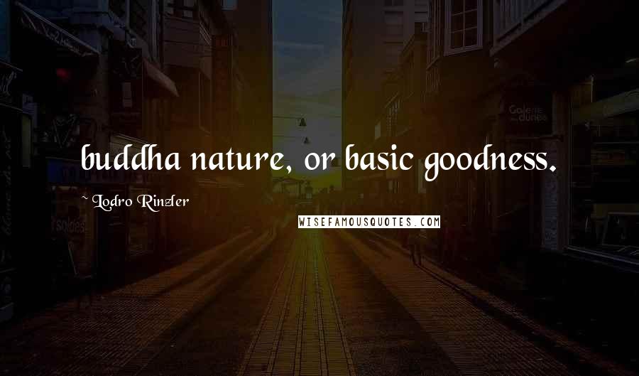 Lodro Rinzler Quotes: buddha nature, or basic goodness.