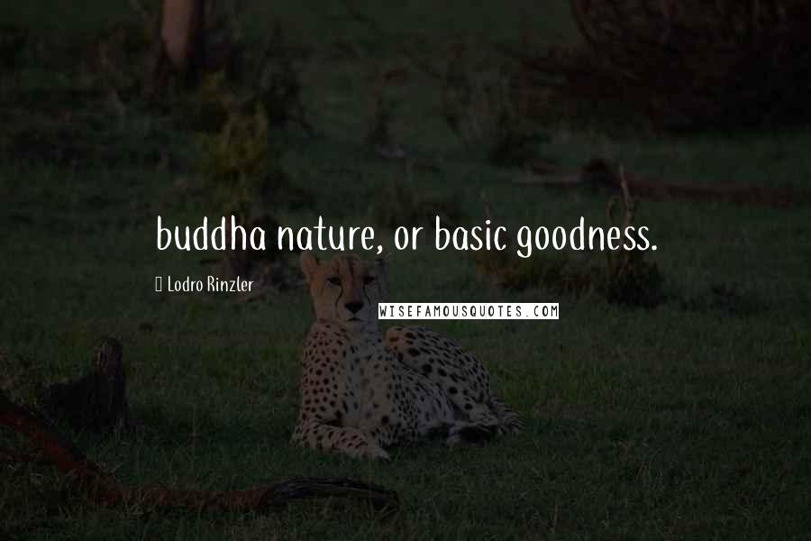 Lodro Rinzler Quotes: buddha nature, or basic goodness.