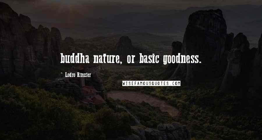 Lodro Rinzler Quotes: buddha nature, or basic goodness.