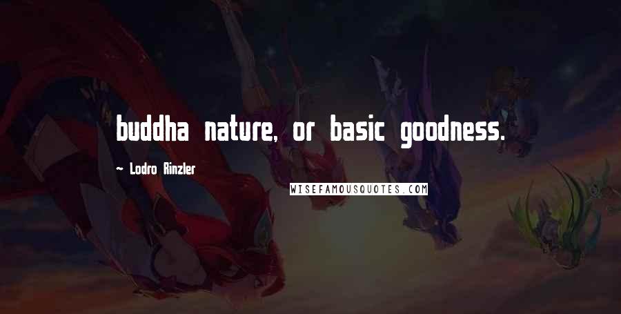 Lodro Rinzler Quotes: buddha nature, or basic goodness.