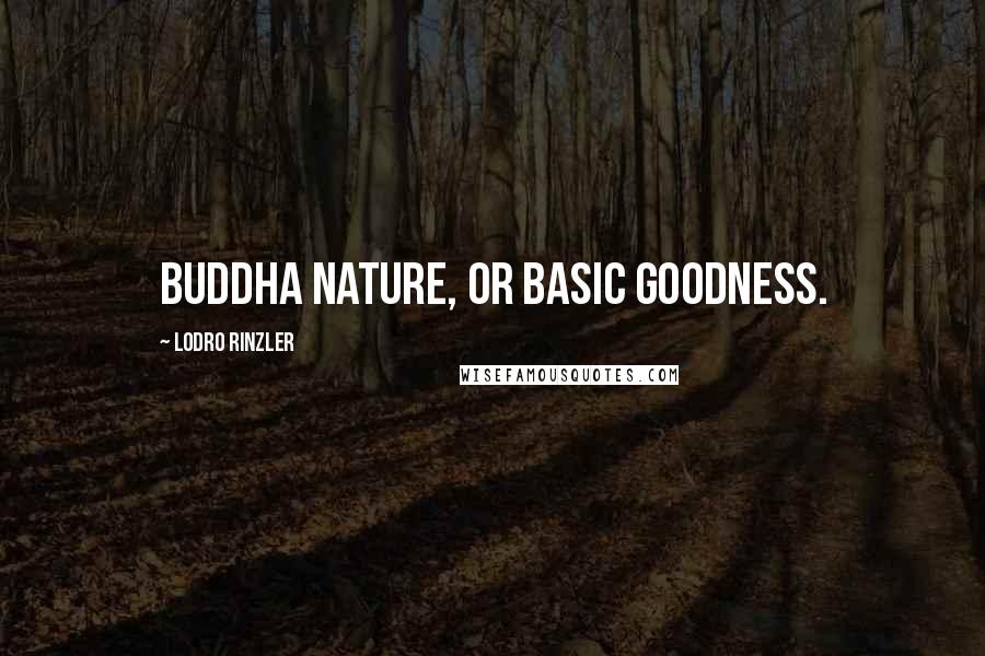 Lodro Rinzler Quotes: buddha nature, or basic goodness.