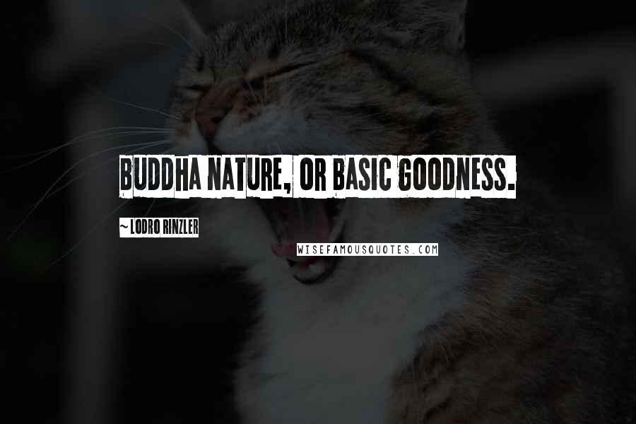 Lodro Rinzler Quotes: buddha nature, or basic goodness.