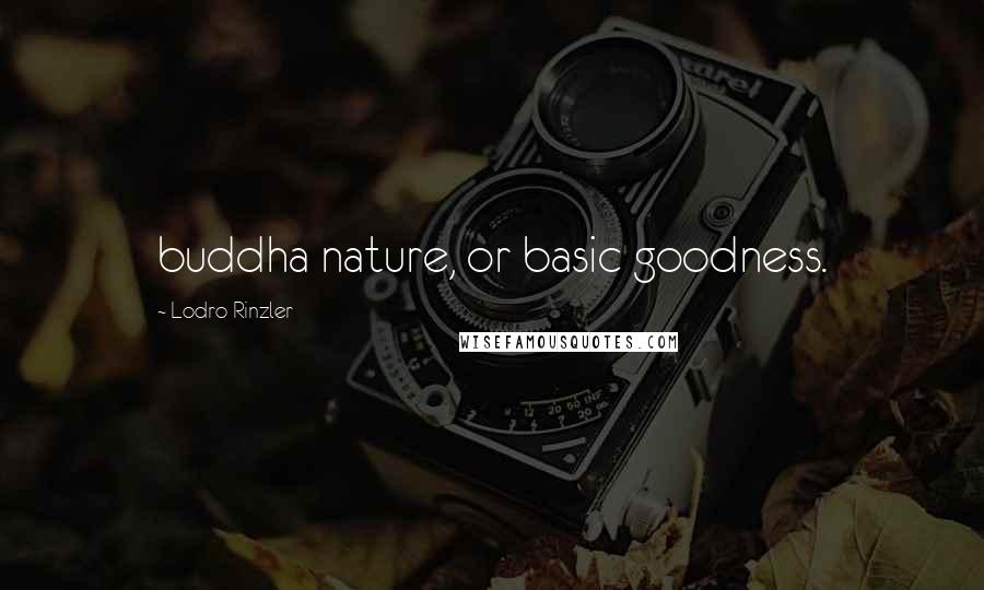 Lodro Rinzler Quotes: buddha nature, or basic goodness.