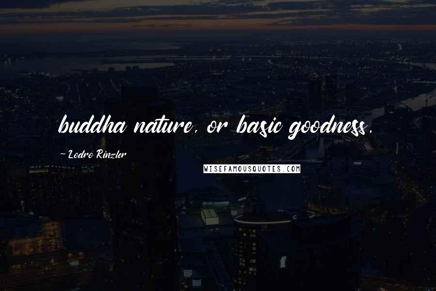 Lodro Rinzler Quotes: buddha nature, or basic goodness.