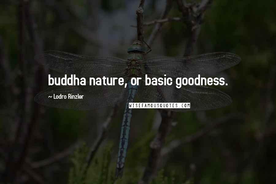 Lodro Rinzler Quotes: buddha nature, or basic goodness.