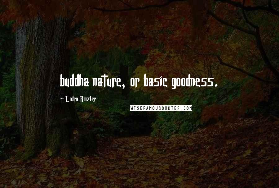 Lodro Rinzler Quotes: buddha nature, or basic goodness.