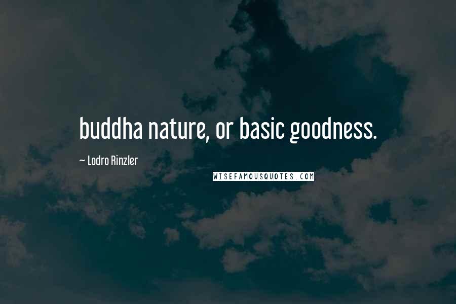 Lodro Rinzler Quotes: buddha nature, or basic goodness.