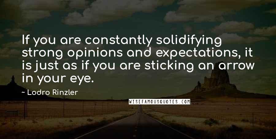Lodro Rinzler Quotes: If you are constantly solidifying strong opinions and expectations, it is just as if you are sticking an arrow in your eye.