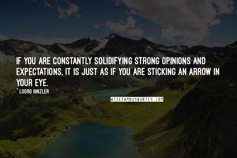 Lodro Rinzler Quotes: If you are constantly solidifying strong opinions and expectations, it is just as if you are sticking an arrow in your eye.