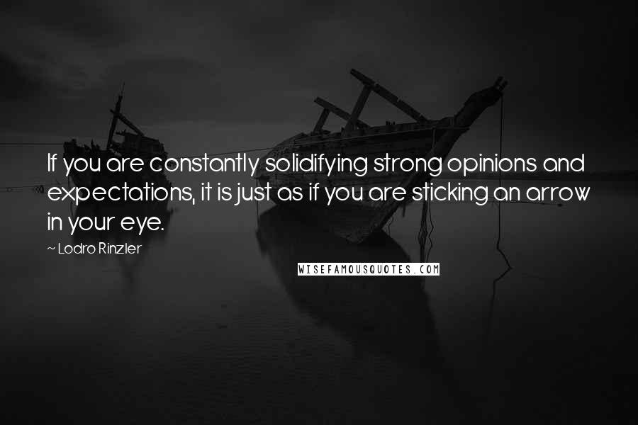 Lodro Rinzler Quotes: If you are constantly solidifying strong opinions and expectations, it is just as if you are sticking an arrow in your eye.