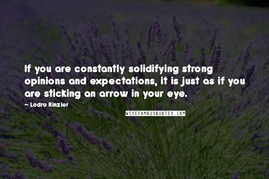 Lodro Rinzler Quotes: If you are constantly solidifying strong opinions and expectations, it is just as if you are sticking an arrow in your eye.