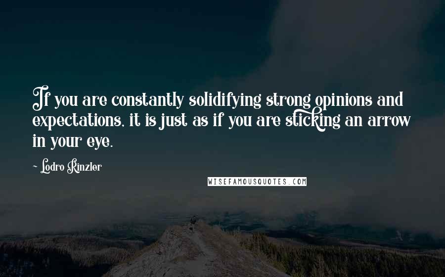 Lodro Rinzler Quotes: If you are constantly solidifying strong opinions and expectations, it is just as if you are sticking an arrow in your eye.