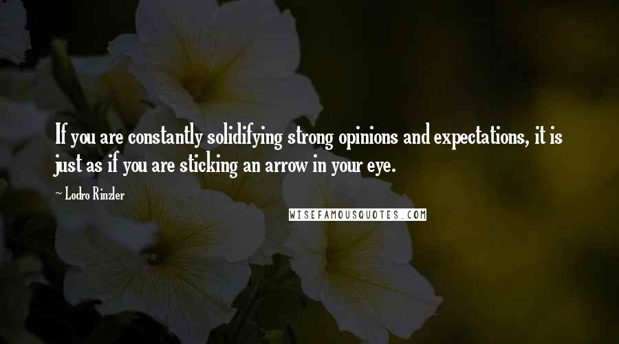 Lodro Rinzler Quotes: If you are constantly solidifying strong opinions and expectations, it is just as if you are sticking an arrow in your eye.