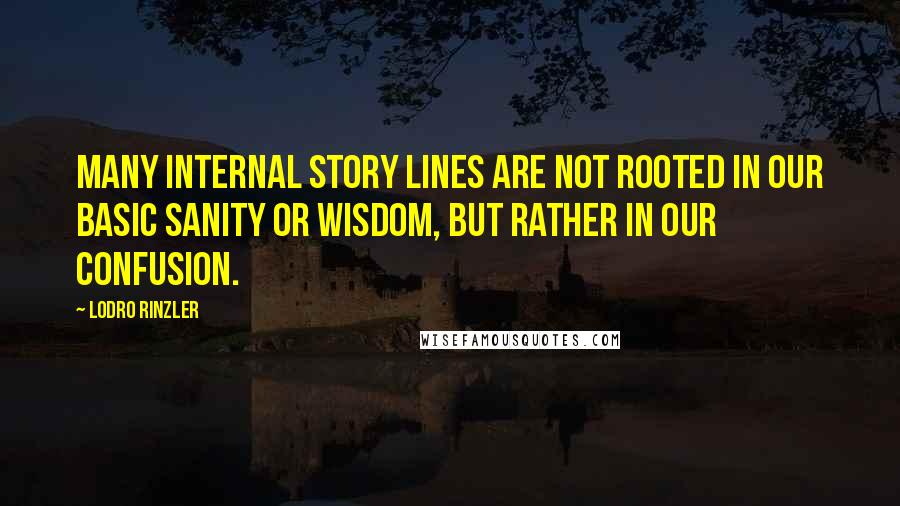 Lodro Rinzler Quotes: Many internal story lines are not rooted in our basic sanity or wisdom, but rather in our confusion.