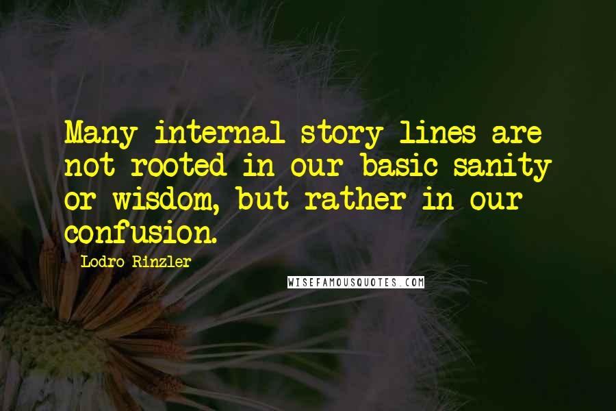 Lodro Rinzler Quotes: Many internal story lines are not rooted in our basic sanity or wisdom, but rather in our confusion.