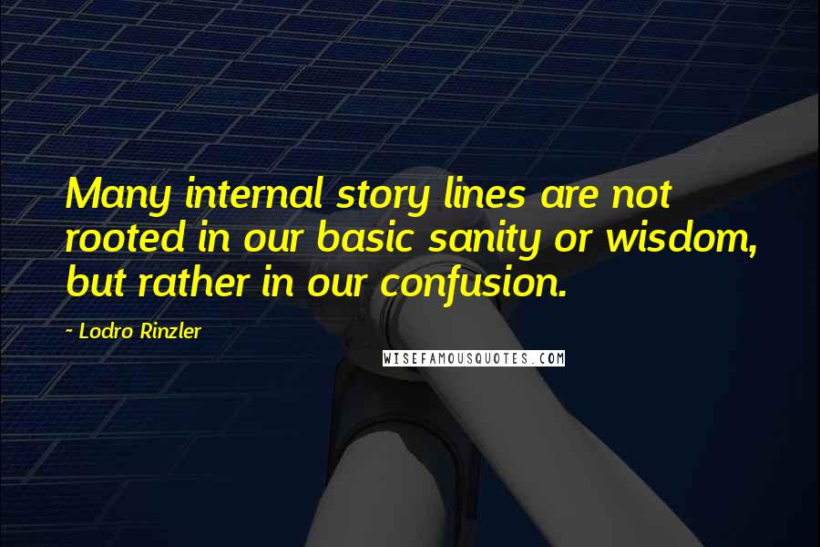 Lodro Rinzler Quotes: Many internal story lines are not rooted in our basic sanity or wisdom, but rather in our confusion.