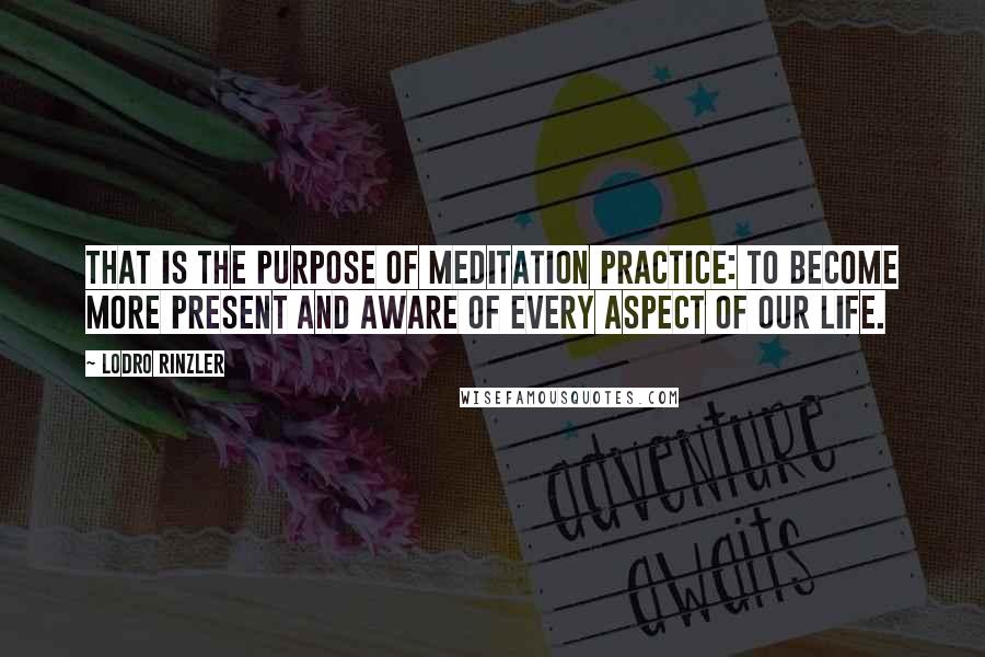 Lodro Rinzler Quotes: That is the purpose of meditation practice: to become more present and aware of every aspect of our life.