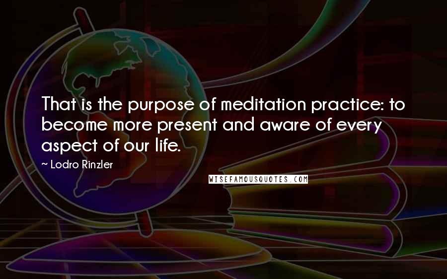Lodro Rinzler Quotes: That is the purpose of meditation practice: to become more present and aware of every aspect of our life.