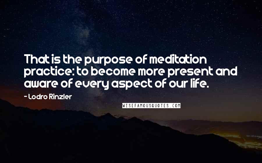 Lodro Rinzler Quotes: That is the purpose of meditation practice: to become more present and aware of every aspect of our life.