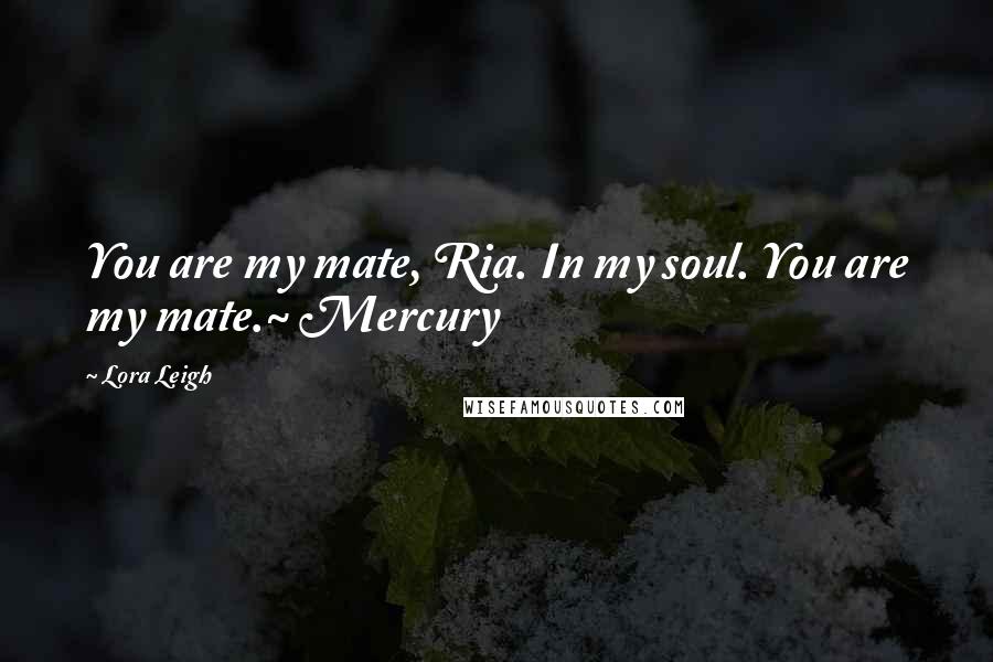 Lora Leigh Quotes: You are my mate, Ria. In my soul. You are my mate.~ Mercury