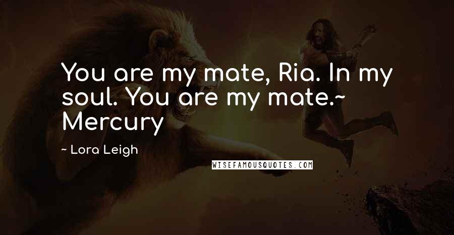 Lora Leigh Quotes: You are my mate, Ria. In my soul. You are my mate.~ Mercury