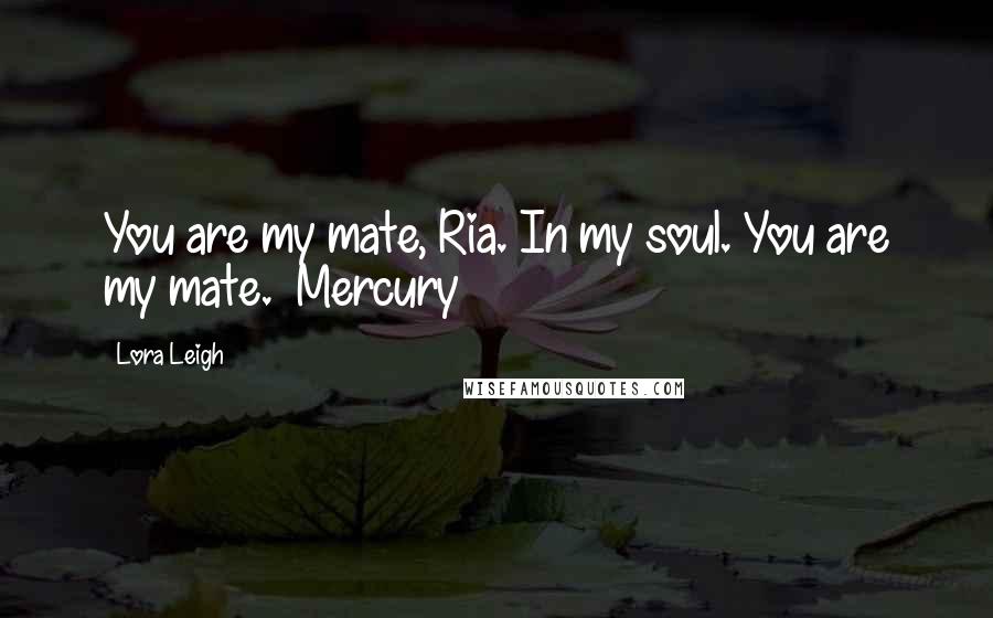 Lora Leigh Quotes: You are my mate, Ria. In my soul. You are my mate.~ Mercury