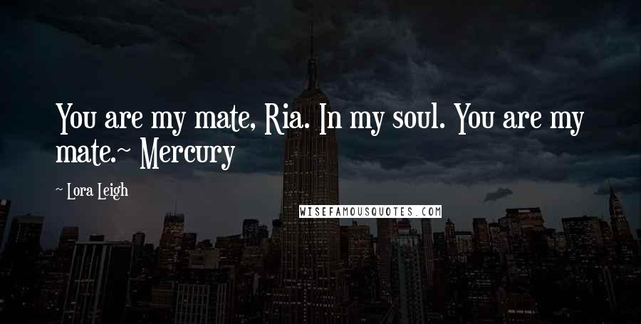 Lora Leigh Quotes: You are my mate, Ria. In my soul. You are my mate.~ Mercury