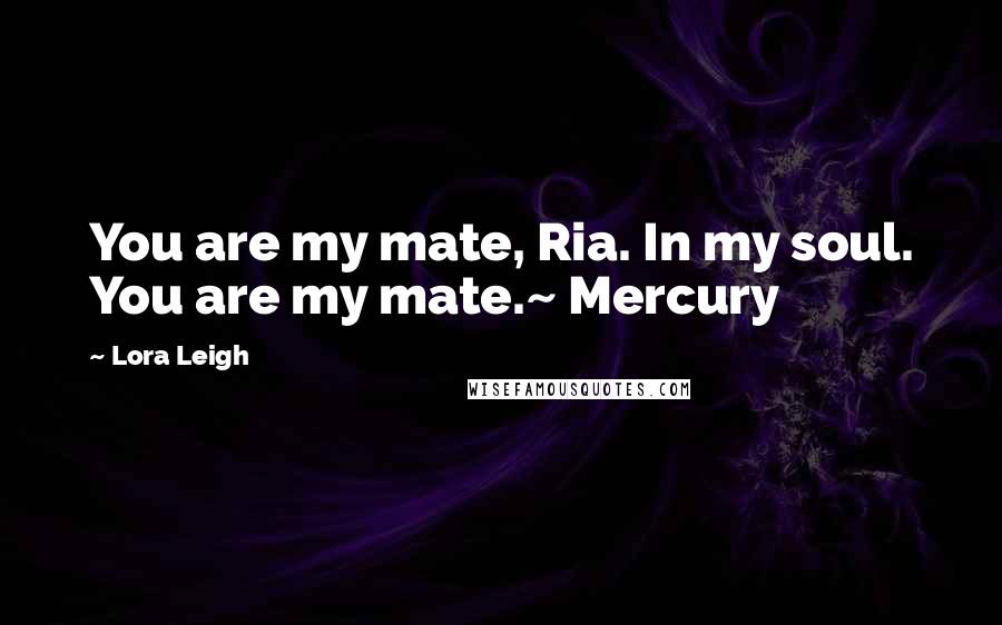Lora Leigh Quotes: You are my mate, Ria. In my soul. You are my mate.~ Mercury